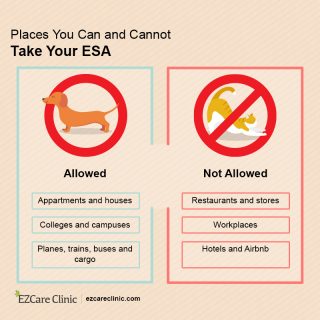 Places to take ESA