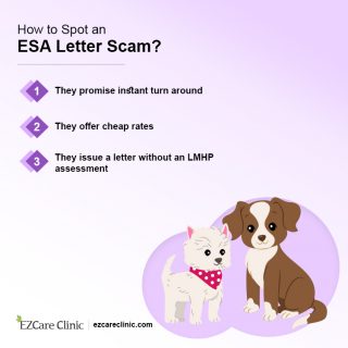 Fake ESA letter