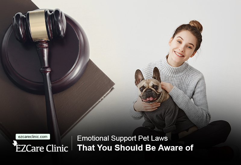 Emotional support