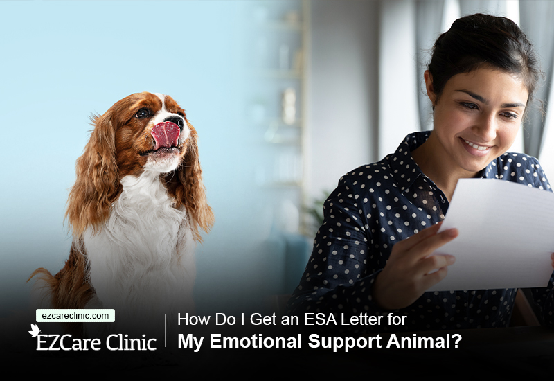 emotional support