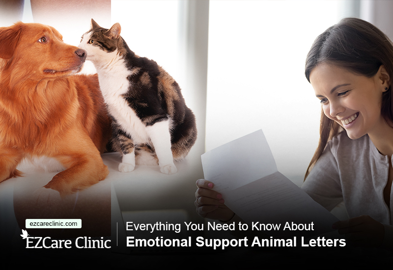 emotional support