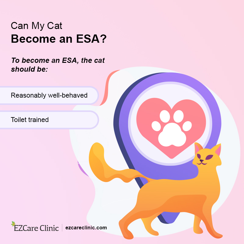 Emotional Support Animal