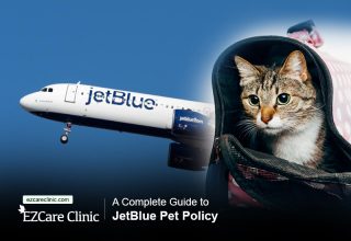 pet ESA travel
