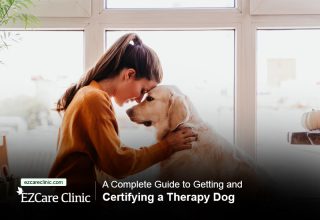 Therapy Dog