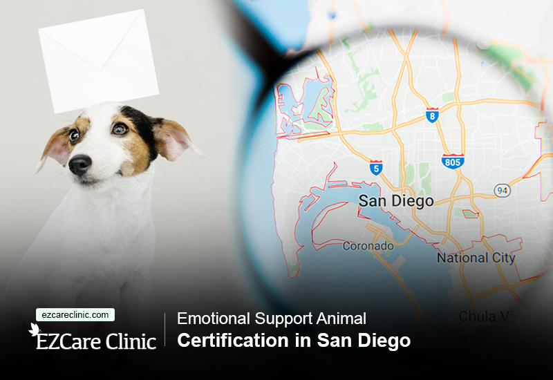 Emotional Support Animal