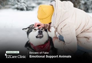 emotional support