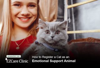Emotional Support Animal