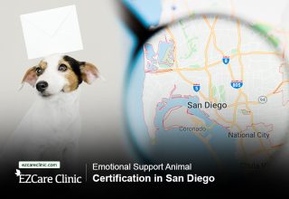 Emotional Support Animal
